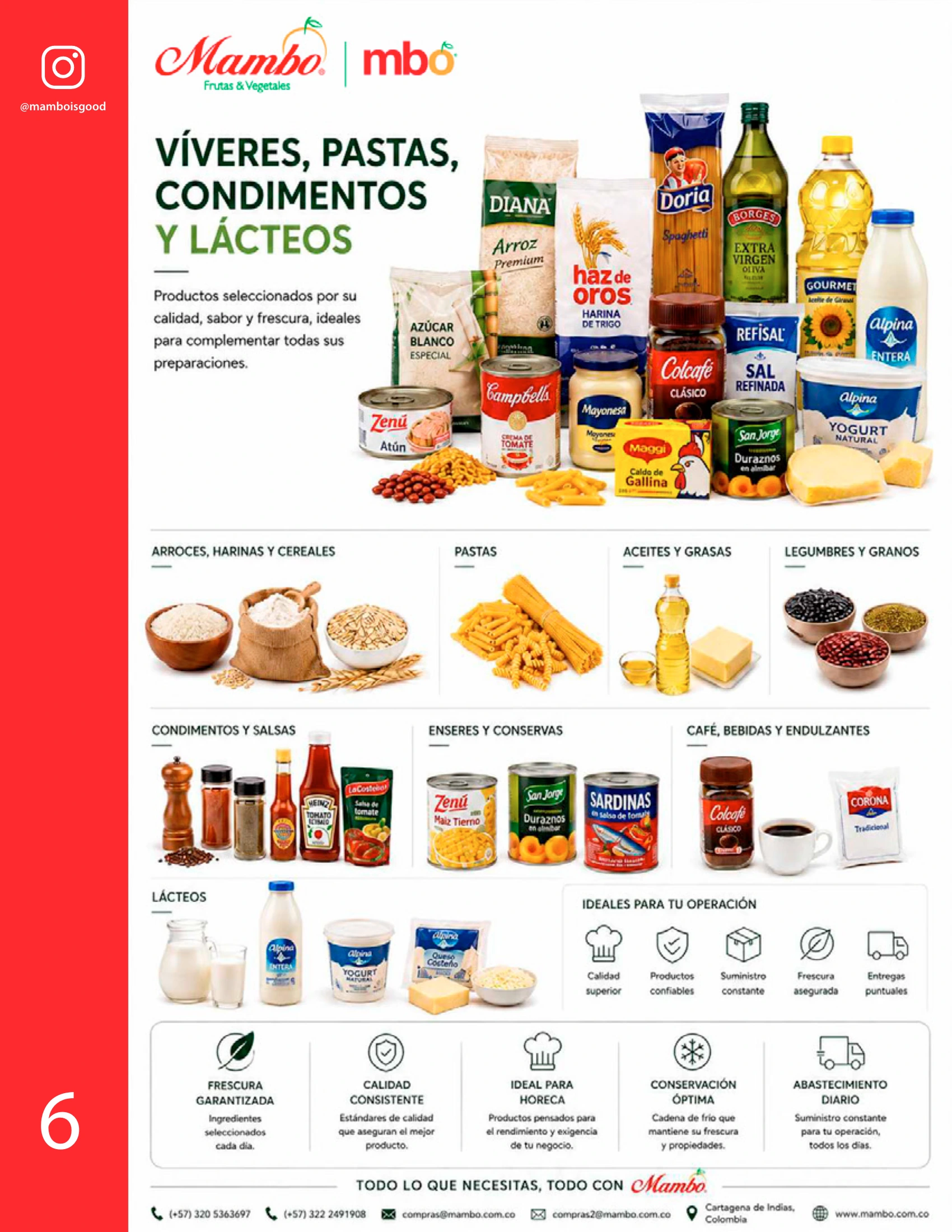 Víveres, pastas, condimentos y lácteos Mambo