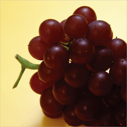 Grape “Red”