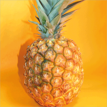 Pineapple “Perolera”