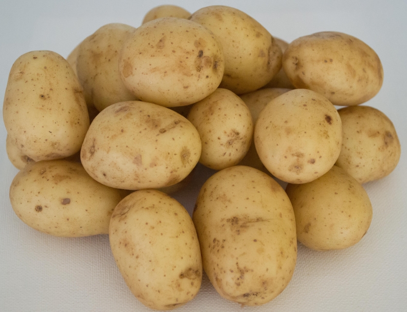 New Potato