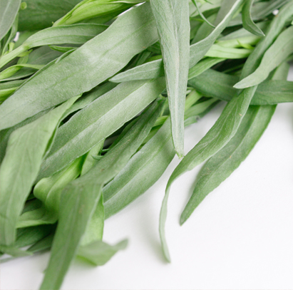 Tarragon