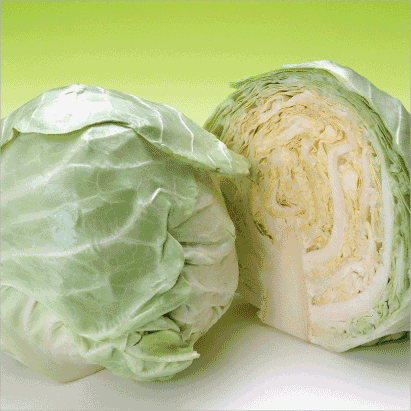 Cabbage “Green and Purple”