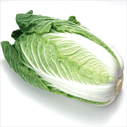 Cabbage “Chinese”