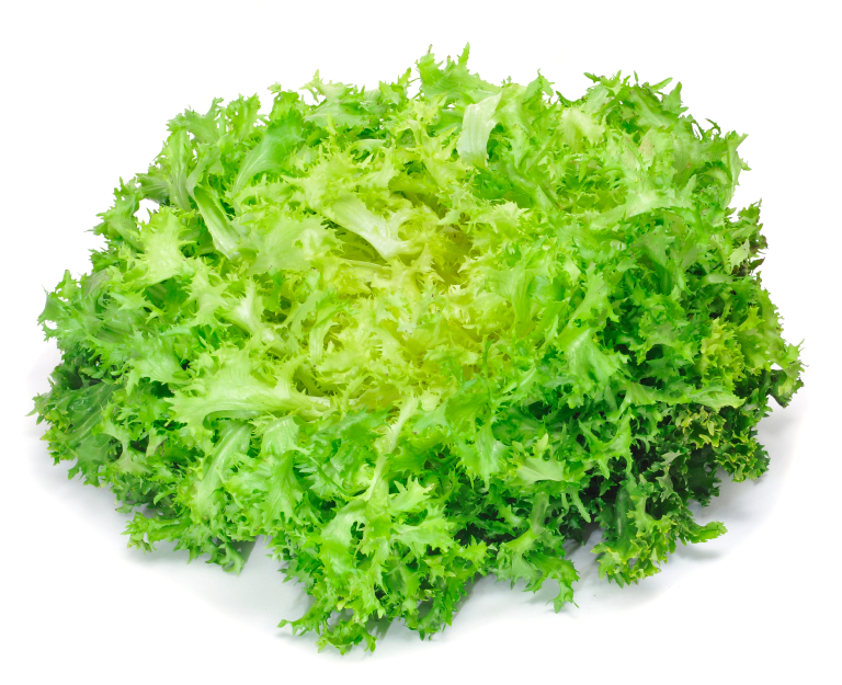 Lettuce “Escarole”