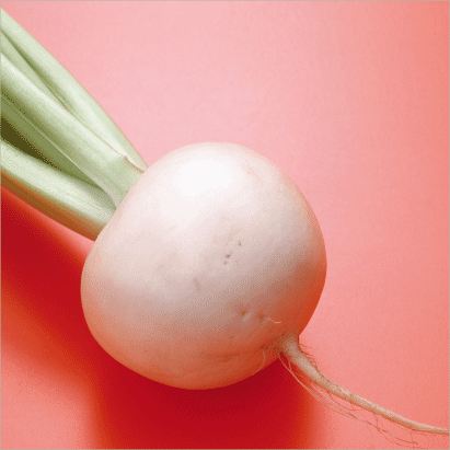 Radish “White”