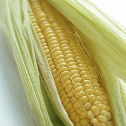 Sweet Corn