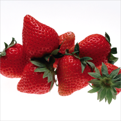 Strawberries “Jumbo”