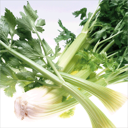 Celery