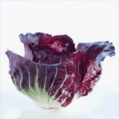 Radicchio