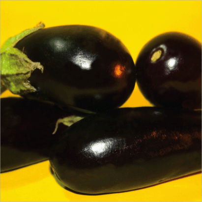 Eggplant