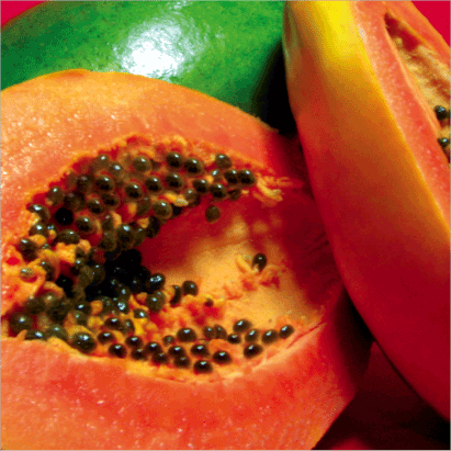 Papaya