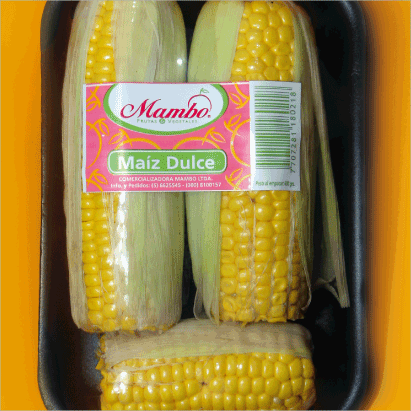 Corn “Sweet” in tray
