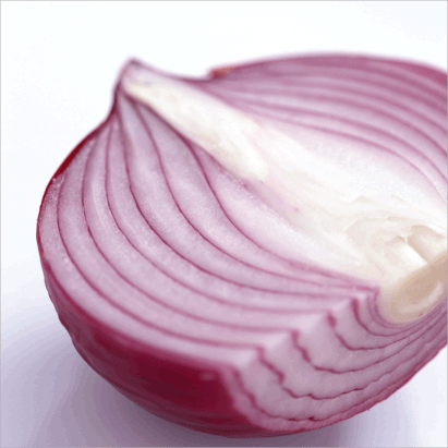 Onion “Red”