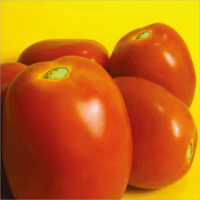 Tomato “Pear”
