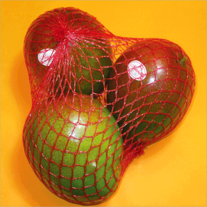 Mangoes “Tommy” in Mesh x 2 Kg
