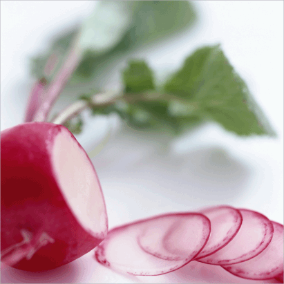 Red Radish “Baby”