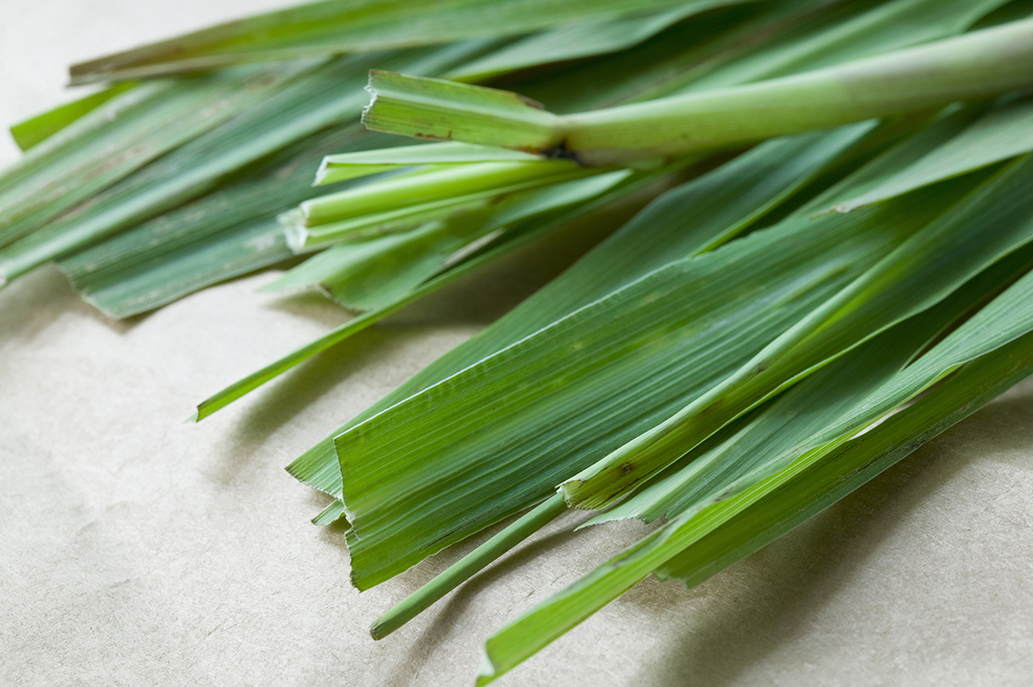 Lemongrass