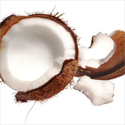 Coconut