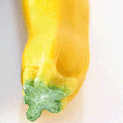 Zucchini “Yellow”