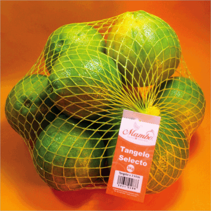 Orange “Tangelo” x 3 Kg